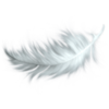 pluma transparente