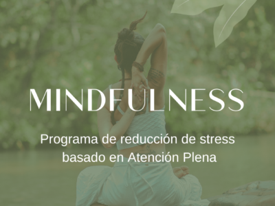 Mindfulness Programa de Reducción de Stress